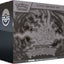 Pokémon TCG: Mega Evolution— Pitch Black Elite Trainer Box