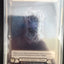 Stalagmite Graded PCG Gem Mint 9.5 (Copy)