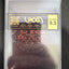 Stalagmite Graded PCG Gem Mint 9.5 (Copy)