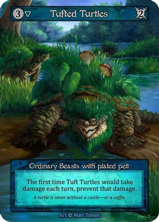 Tufted Turtles  - Alpha