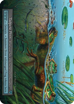 Tadpole Pool  - Beta