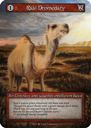 Raal Dromedary  - Beta
