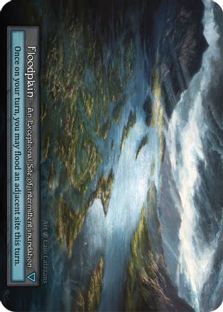 Floodplain  - Beta