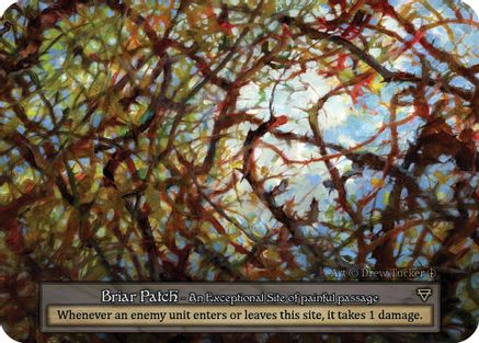 Briar Patch  - Arthurian Legends