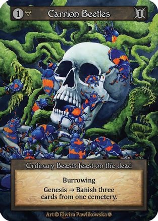 Carrion Beetles  - Gothic