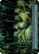 Croaking Swamp (Foil)  - Gothic Foil